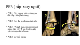 PER ( sấp- xoay ngoài)
• PER1: Gãy ngang mắt cá trong or
đứt dây chằng bên trong
• PER2: Đứt d.c syndesmosis trước
• PER3:  rách màng interosseous (
màng liên cốt) lan lên trên gây
gãy xương mác trên cao
• PER4: Vỡ mắt cá sau
 