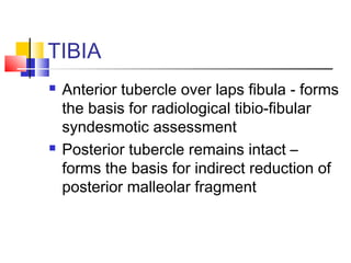 TIBIA
   Anterior tubercle over laps fibula - forms
    the basis for radiological tibio-fibular
    syndesmotic assessment
   Posterior tubercle remains intact –
    forms the basis for indirect reduction of
    posterior malleolar fragment
 