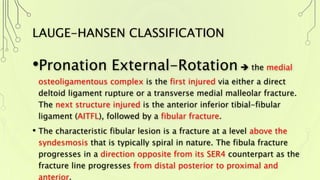 LAUGE-HANSEN CLASSIFICATION
•Pronation External-Rotation  the medial
osteoligamentous complex is the first injured via either a direct
deltoid ligament rupture or a transverse medial malleolar fracture.
The next structure injured is the anterior inferior tibial-fibular
ligament (AITFL), followed by a fibular fracture.
• The characteristic fibular lesion is a fracture at a level above the
syndesmosis that is typically spiral in nature. The fibula fracture
progresses in a direction opposite from its SER4 counterpart as the
fracture line progresses from distal posterior to proximal and
anterior.
 
