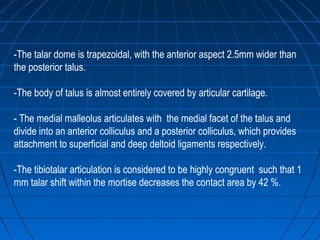 -The talar dome is trapezoidal, with the anterior aspect 2.5mm wider than
the posterior talus.
-The body of talus is almost entirely covered by articular cartilage.
- The medial malleolus articulates with the medial facet of the talus and
divide into an anterior colliculus and a posterior colliculus, which provides
attachment to superficial and deep deltoid ligaments respectively.
-The tibiotalar articulation is considered to be highly congruent such that 1
mm talar shift within the mortise decreases the contact area by 42 %.
 
