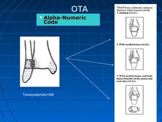  Alpha-NumericAlpha-Numeric
CodeCode
Transsyndesmotic=44B
 