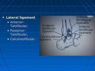  Lateral ligamentLateral ligament
• Anterior-Anterior-
Talofibular,Talofibular,
• Posterior-Posterior-
Talofibular,Talofibular,
• Calcaneofibular.Calcaneofibular.
 