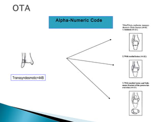  Alpha-Numeric Code
Transsyndesmotic=44B
 