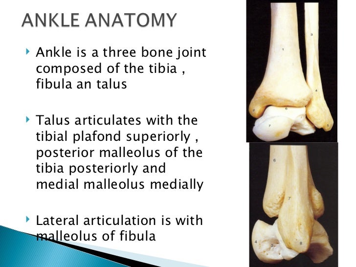 ankle fractures final tibial plafond