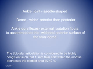 Ankle joint - saddle-shaped
Dome - wider anterior than posterior
Ankle dorsiflexes- external roatation fibula
to accommodate this widened anterior surface of
the talar dome
The tibiotalar articulation is considered to be highly
congruent such that 1 mm talar shift within the mortise
decreases the contact area by 42 %
5/12/2018
 