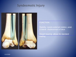 FUNCTION:
Stability- resists external rotation, axial,
& lateral displacement of talus
Weight bearing- allows for standard
loading
5/12/2018
 