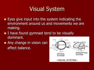Visual SystemEyes give input into the system indicating the environment around us and movements we are making.I have found gymnast tend to be visually dominant.Any change in vision can   affect balance.