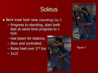 SoleusBent knee heel raise (standing) (fig 7)Progress to standing, start both feet at same time progress to 1 footUse beam for balance.Slow and controlled.Raise heel over 2nd toe2x15Figure 7