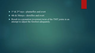 biomechanics of tarsometatarsal joint, metatarsophalangeal joint ...