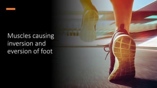 The Gross anatomy of the ANKLE JOINT.pptx with relations | PPT