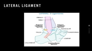 L AT ER A L L IG AM EN T
8
/
1
/
2
0
2
4
12
 