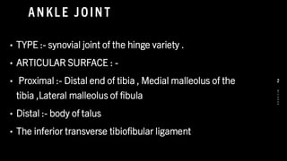 ANKLE JOINT
• TYPE :- synovial joint of the hinge variety .
• ARTICULAR SURFACE : -
• Proximal :- Distal end of tibia , Medial malleolus of the
tibia ,Lateral malleolus of fibula
• Distal :- body of talus
• The inferior transverse tibiofibular ligament
8
/
1
/
2
0
2
4
2
 