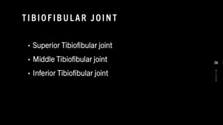T IBIO F IB U L AR JO IN T
• Superior Tibiofibular joint
• Middle Tibiofibular joint
• Inferior Tibiofibular joint
8
/
1
/
2
0
2
4
26
 