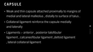 CAPS UL E
• Weak and thin capsule attached proximally to margins of
medial and lateral malleolus , distally to surface of talus .
• Collateral ligament reinforce the capsule medially
and laterally
• Ligaments :- anterior , posterior talofibular
ligament , calcaneofibular ligament ,deltoid ligament
, lateral collateral ligament
8
/
1
/
2
0
2
4
30
 