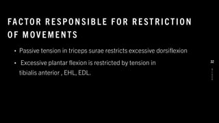 FACTO R R E SPO N SIB L E FO R R E ST R ICT IO N
O F M OV E ME NTS
• Passive tension in triceps surae restricts excessive dorsiflexion
• Excessive plantar flexion is restricted by tension in
tibialis anterior , EHL, EDL.
8
/
1
/
2
0
2
4
32
 