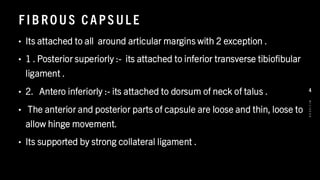 F IB RO U S CAPS UL E
• Its attached to all around articular margins with 2 exception .
• 1 . Posterior superiorly :- its attached to inferior transverse tibiofibular
ligament .
• 2. Antero inferiorly :- its attached to dorsum of neck of talus .
• The anterior and posterior parts of capsule are loose and thin, loose to
allow hinge movement.
• Its supported by strong collateral ligament .
8
/
1
/
2
0
2
4
4
 