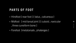 PAR TS O F F O OT
• Hindfoot [ rear foot ] [ talus , calcaneus }
• Midfoot [ mid tarsal joint ] [ cuboid , navicular
, three cuneiform bone ]
• Forefoot [metatarsals , phalanges ]
8
/
1
/
2
0
2
4
49
 