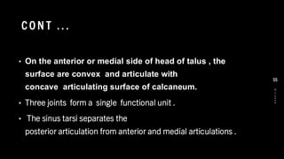 CO N T .. .
• On the anterior or medial side of head of talus , the
surface are convex and articulate with
concave articulating surface of calcaneum.
• Three joints form a single functional unit .
• The sinus tarsi separates the
posterior articulation from anterior and medial articulations .
8
/
1
/
2
0
2
4
55
 