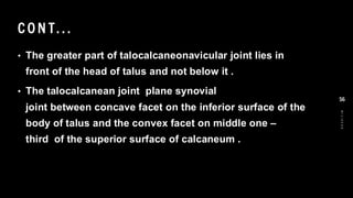 CO N T...
• The greater part of talocalcaneonavicular joint lies in
front of the head of talus and not below it .
• The talocalcanean joint plane synovial
joint between concave facet on the inferior surface of the
body of talus and the convex facet on middle one –
third of the superior surface of calcaneum .
8
/
1
/
2
0
2
4
56
 