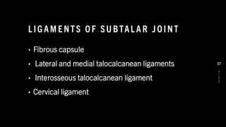 L IG AM E NTS O F SU BTAL A R J O INT
• Fibrous capsule
• Lateral and medial talocalcanean ligaments
• Interosseous talocalcanean ligament
• Cervical ligament
8
/
1
/
2
0
2
4
57
 