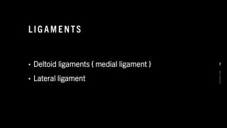 L IG AM E NTS
• Deltoid ligaments { medial ligament }
• Lateral ligament
8
/
1
/
2
0
2
4
7
 
