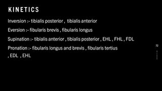 KIN ET ICS
Inversion :- tibialis posterior , tibialis anterior
Eversion :- fibularis brevis , fibularis longus
Supination :- tibialis anterior , tibialis posterior , EHL , FHL , FDL
Pronation :- fibularis longus and brevis , fibularis tertius
, EDL , EHL
8
/
1
/
2
0
2
4
72
 