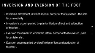INV E R SIO N AND E VE R SIO N O F TH E F O OT
• Inversion movement in which medial border of foot elevated , the sole
faces medially .
• Inversion is accompanied by plantar flexion of foot and adduction
of forefoot .
• Eversion movement in which the lateral border of foot elevated , sole
faces laterally .
• Eversion accompanied by dorsiflexion of foot and abduction of
forefoot .
8
/
1
/
2
0
2
4
74
 