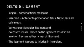 DE LTO ID L IG AM EN T
origin :- border of tibial malleolus
• Insertion :- Anterior to posterior on talus. Navicular and
calcaneus.
• Very strong triangular ligament and
excessive tensile forces on the ligament result in an
avulsion fracture rather a tear of ligament .
• The ligament is prone to injuries in inversion .
8
/
1
/
2
0
2
4
8
 