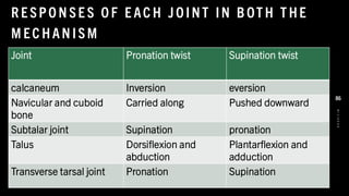 R E SPO N SE S O F E AC H J O INT IN B OT H T HE
M EC HAN ISM
Joint Pronation twist Supination twist
calcaneum Inversion eversion
Navicular and cuboid
bone
Carried along Pushed downward
Subtalar joint Supination pronation
Talus Dorsiflexion and
abduction
Plantarflexion and
adduction
Transverse tarsal joint Pronation Supination
8
/
1
/
2
0
2
4
86
 