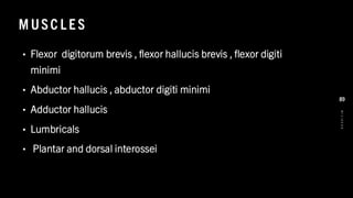 M USC L E S
• Flexor digitorum brevis , flexor hallucis brevis , flexor digiti
minimi
• Abductor hallucis , abductor digiti minimi
• Adductor hallucis
• Lumbricals
• Plantar and dorsal interossei
8
/
1
/
2
0
2
4
89
 