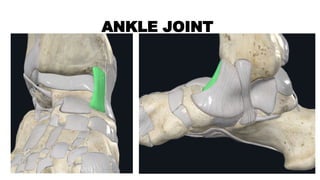 Ankle joint anatomy and biomechanics .pptx