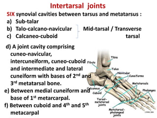 joint GK .pptx