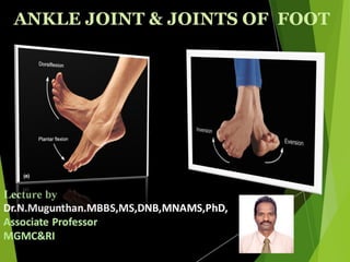 Ankle joint & joints of foot pdf lecture notes by Dr.N.Mugunthan