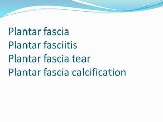 Plantar fascia
Plantar fasciitis
Plantar fascia tear
Plantar fascia calcification
 