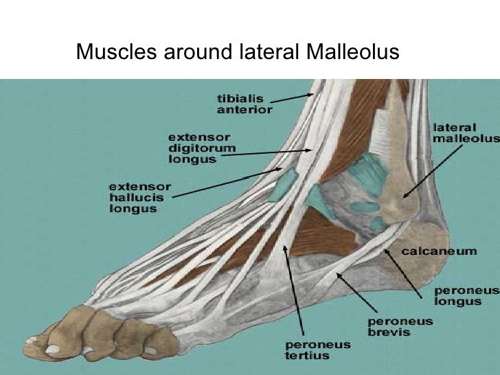 Ankle sprain by Back 2 Fitness