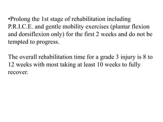 •Prolong the 1st stage of rehabilitation including
P.R.I.C.E. and gentle mobility exercises (plantar flexion
and dorsiflexion only) for the first 2 weeks and do not be
tempted to progress.
The overall rehabilitation time for a grade 3 injury is 8 to
12 weeks with most taking at least 10 weeks to fully
recover.
 