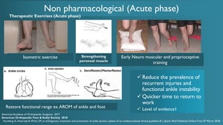 Recurrent Injuries Ankle Sprain Final Version.pdf