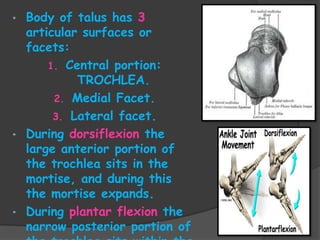 Trochlear Talus Ankle Sprains | PPTX