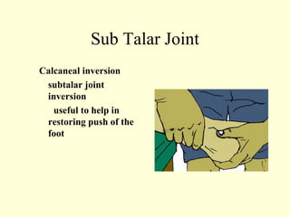 Sub Talar Joint
Calcaneal inversion
 subtalar joint
 inversion
   useful to help in
 restoring push of the
 foot
 