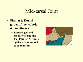 Mid-tarsal Joint
• Plantar& Dorsal
  glides of the cuboid
  & cuneiforms
  – Restore general
    mobility of the mid
    foot Plantar & Dorsal
     glides of the cuboid
    & cuneiforms
 