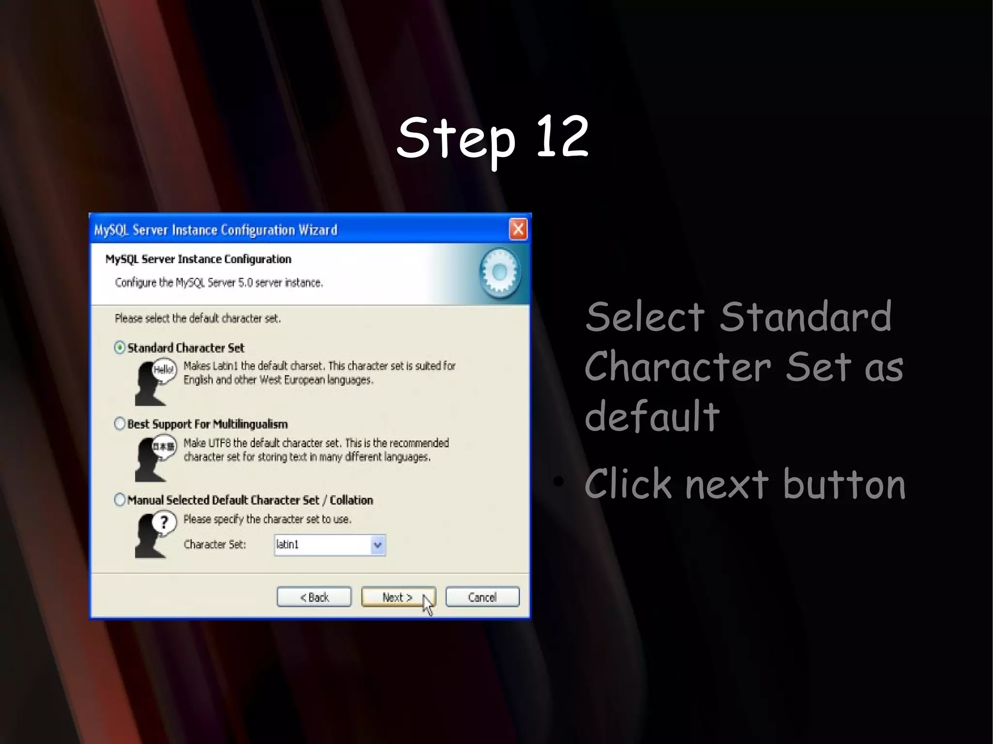 Step 12 Select Standard Character Set as default Click next button 
