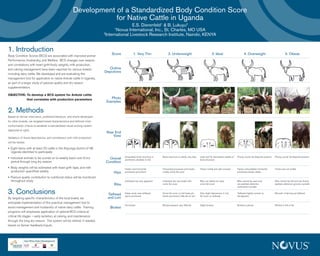 Development of a Standardized Body Condition Score
                                                                   for Native Cattle in Uganda
                                                                                          E.S. Dierenfeld & B. Lukuyu  1                             2
                                                                                1
                                                                                 Novus International, Inc., St. Charles, MO USA
                                                                          2
                                                                           International Livestock Research Institute, Nairobi, KENYA


1. Introduction                                                               Score            1. Very Thin                      2. Underweight                               3. Ideal                         4. Overweight                             5. Obese
Body Condition Scores (BCS) are associated with improved animal
Performance, Husbandry, and Welfare. BCS changes over season,
and correlations with heart girth/body weights, milk production,
and calving management have been reported for various breeds                Outline
                                                                          Depictions
including dairy cattle. We developed and are evaluating this
management tool for application to native Ankole cattle in Uganda,
as part of a larger study of pasture quality and dry season
supplementation.

OBJECTIVE: To develop a BCS system for Ankole cattle
           that correlates with production parameters                         Photo
                                                                           Examples

2. Methods
Based on farmer interviews, published literature, and charts developed
for other breeds, we targeted breed characteristics and deﬁned initial
conformation criteria to establish a standardized visual scoring system
(depicted at right).
                                                                           Rear End
                                                                               View
Validation of these descriptions, and correlations with milk production
will be tested:

• Eight farms with at least 20 cattle in the Kayunga district of NE
  Uganda identified to participate
                                                                                       Emaciated, bone structure is        Bone structure is visible, very lean   Lean and fit, decreased visibilty of   Plump, round, fat deposits present   Plump, round, fat deposits present
• Individual animals to be scored on bi-weekly basis over 6-mo               Overall   prominent, skeletal, no fat                                                bone structure
  period through long dry season                                           Condition
• Body weights will be estimated with heart girth tape, and milk                       Hooks and horizontal                Horizontal processes and hooks         Hooks visible but well covered         Hooks well padded, horizontal        Hooks are not visible
  production quantified weekly                                                 Hips    processes prominent                 visible, some fat cover                                                       processes barely visible

• Pasture quality contribution to nutritional status will be monitored
  throughout study                                                                     Individual ribs very apparent       Individual ribs are visible with       Ribs can barely be seen,               Ribs cannot be seen and              Ribs cannot be felt and are thickly
                                                                               Ribs                                        some fat cover                         some fat cover                         are padded, abdomen                  padded, abdomen grossly rounded
                                                                                                                                                                                                         somewhat rounded

3. Conclusions                                                              Tailhead   Deep cavity near tailhead,
                                                                                       spine prominent
                                                                                                                           Some fat cover on tail head, pin
                                                                                                                           bones prominent, little fat on loin
                                                                                                                                                                  Only slight depression in loin,
                                                                                                                                                                  fat cover on tailhead
                                                                                                                                                                                                         Tailhead slightly sunken in,
                                                                                                                                                                                                         fat deposits
                                                                                                                                                                                                                                              Mounds of fat around tailhead

By targeting specific characteristics of the local breed, we                and Loin
anticipate implementation of this practical management tool to
                                                                                       No brisket                          Brisket present, very little fat       Slight brisket                         Brisket is plump                     Brisket is full of fat
assist management and husbandry of native dairy cattle. Training             Brisket
programs will emphasize application of optimal BCS criteria at
critical life stages – early lactation, at calving, and maintenance
through the long dry season. The system will be refined, if needed,
based on farmer feedback/inputs.
 