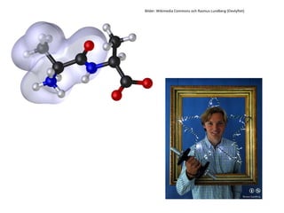 Bilder: Wikimedia Commons och Rasmus Lundberg (Elevlyftet)
 