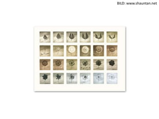 BILD: www.shauntan.net
 