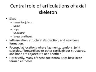 Central role of articulations of axial
skeleton
• Sites
– sacroiliac joints
– Spine
– Hips
– Shoulders
– knees and heels.
• Inflammation, structural destruction, and new bone
formation.
• Focused at locations where ligaments, tendons, joint
capsules, fibrocartilage or other cartilaginous structures,
and bone are adjacent to one another.
• Historically, many of these anatomical sites have been
termed entheses
 