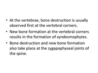 • At the vertebrae, bone destruction is usually
observed first at the vertebral corners.
• New bone formation at the vertebral corners
results in the formation of syndesmophytes.
• Bone destruction and new bone formation
also take place at the zygapophyseal joints of
the spine.
 