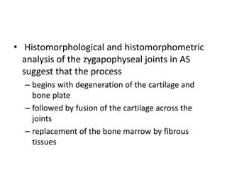 • Histomorphological and histomorphometric
analysis of the zygapophyseal joints in AS
suggest that the process
– begins with degeneration of the cartilage and
bone plate
– followed by fusion of the cartilage across the
joints
– replacement of the bone marrow by fibrous
tissues
 