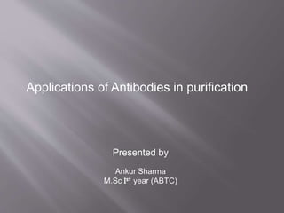 Applications of Antibodies in purification
Presented by
Ankur Sharma
M.Sc Ist year (ABTC)
 