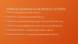 semiNAR ON EXTRAOCULAR MUSCLES OF EYE BALL | PPTX