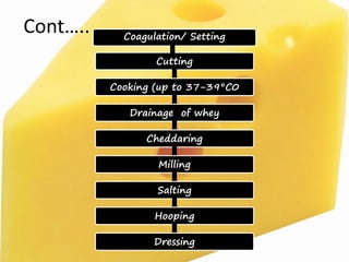 Cont…..
Cutting
Cooking (up to 37-39°C0
Drainage of whey
Cheddaring
Milling
Salting
Hooping
Dressing
Coagulation/ Setting
 